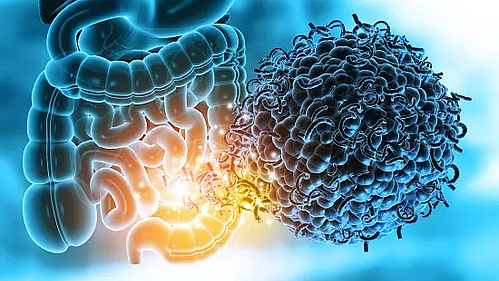 Gut microbiome linked to bone health finds new study (photo: IANS)