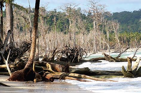 The coast of Joginder Nagar in Great Nicobar, where the government has big development plans (Photo: Pankaj Sekhsaria)
