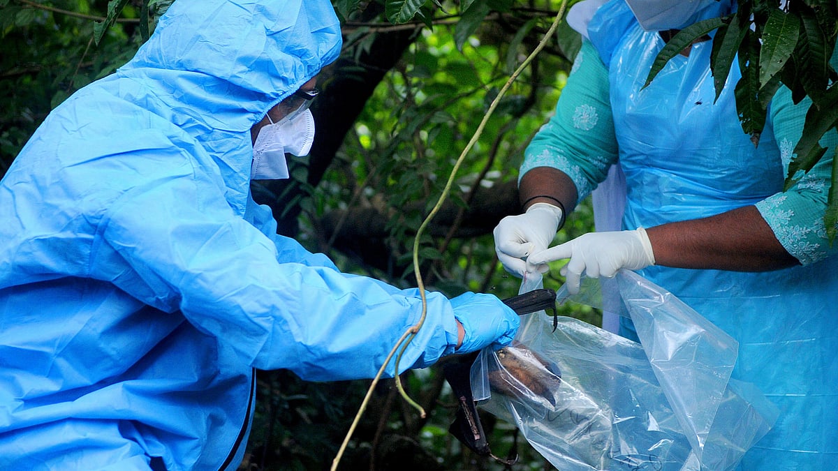 Nipah can spread by droplets, has a fatality rate of 40 to 70%: ICMR