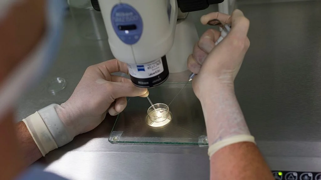Representative image of a scientist working in a lab (Photo: BSIP/Universal Images Group via Getty Images)