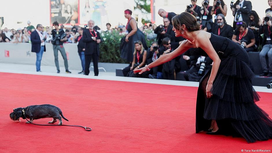 Venice film festival: Italian actor Caterina Murino's dog stole the show there for a minute on the red carpet, but for the most part, the drama was all on-screen — including directors in the dog house (photo: DW)