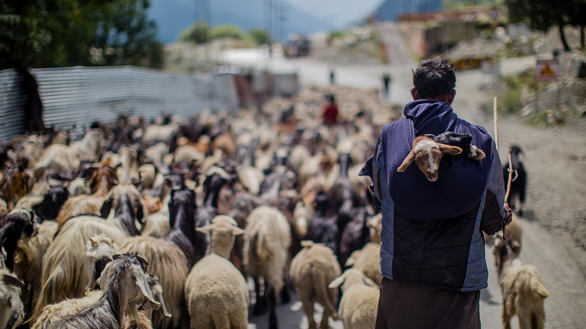 J&K govt notifies transport arrangements for migratory tribal families