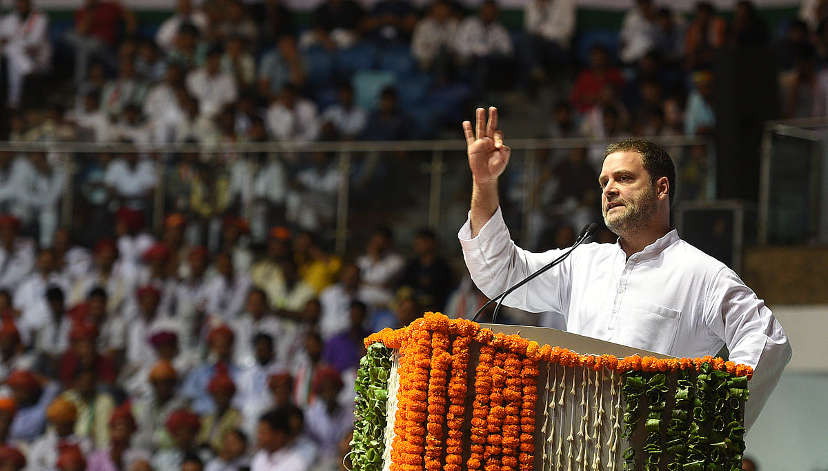 AICC reshuffle bears Rahul Gandhi's stamp: Congress foregrounds youth, diversity