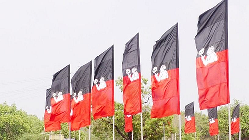 AIADMK party flag (Photo: IANS)