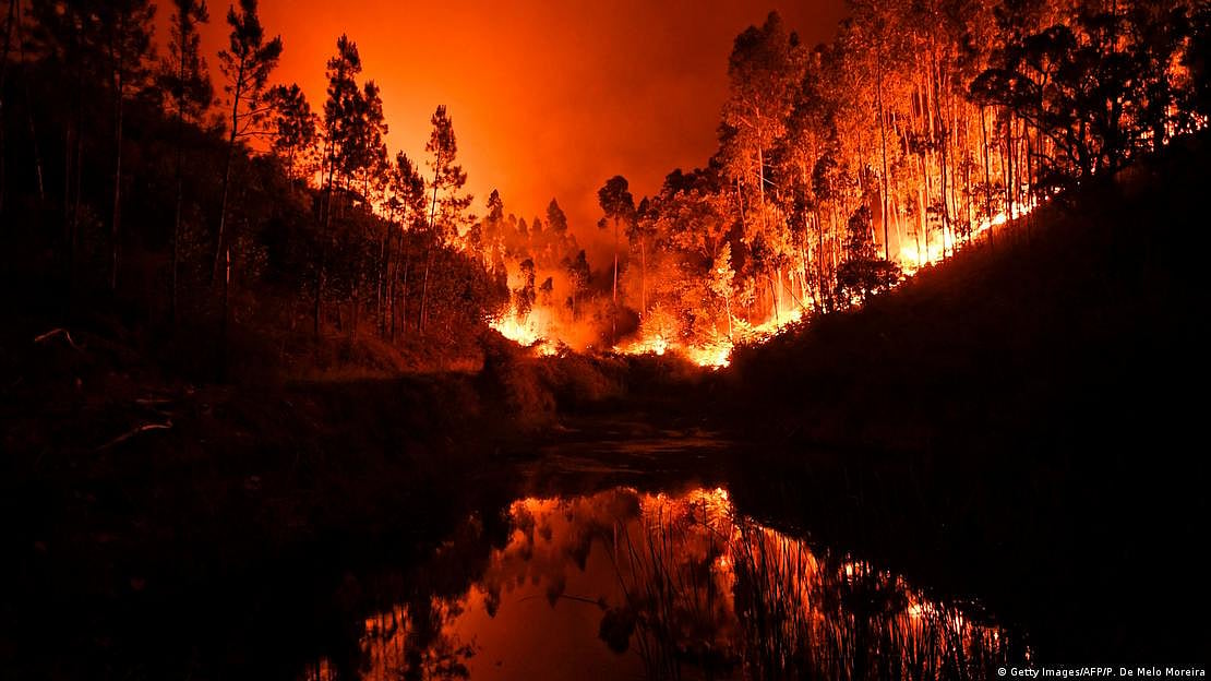 Many of the young people cited the deadly Portuguese wildfires of 2017 as motivation (Photo: Getty Images)