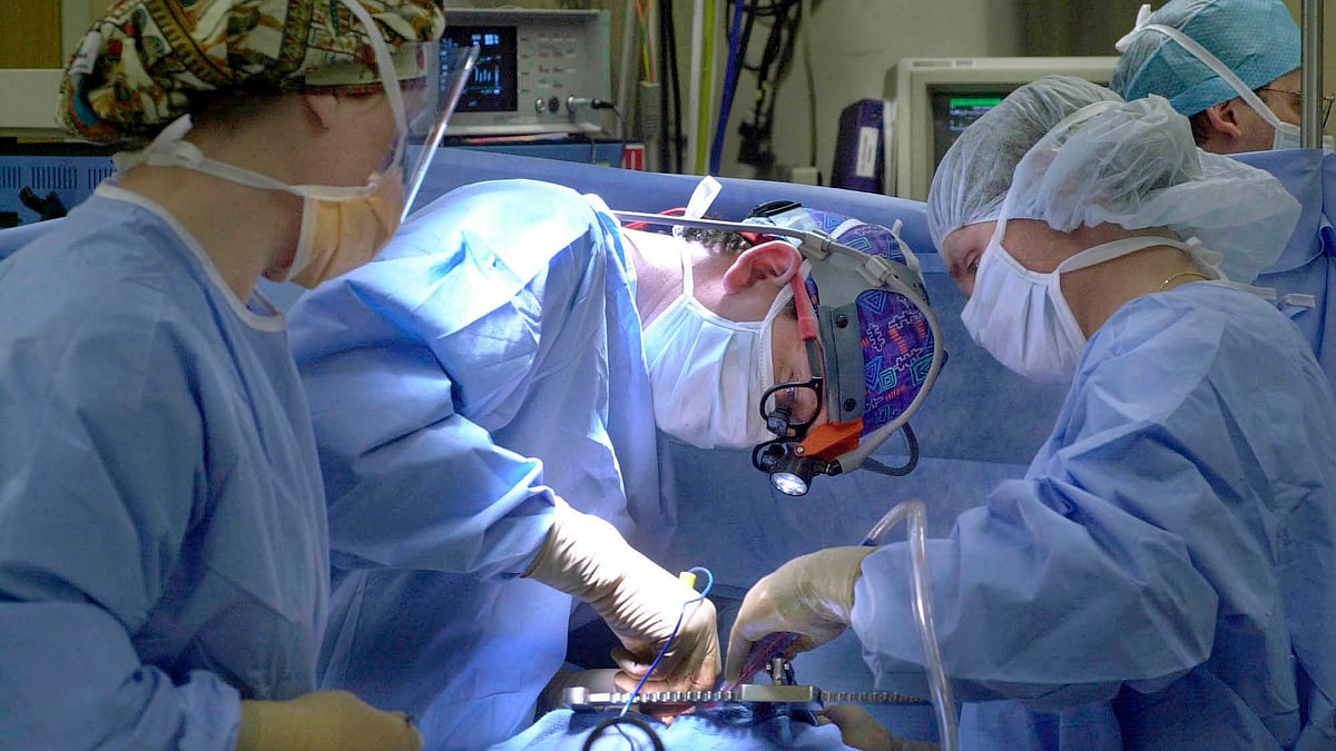 US surgeons perform 2nd-ever pig heart transplant