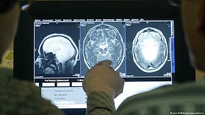 Study uncovers how brain learns which actions in a sequence are rewarded