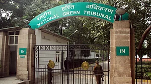NGT establishes panel to investigate illegal road damage in Nainital bird reserve