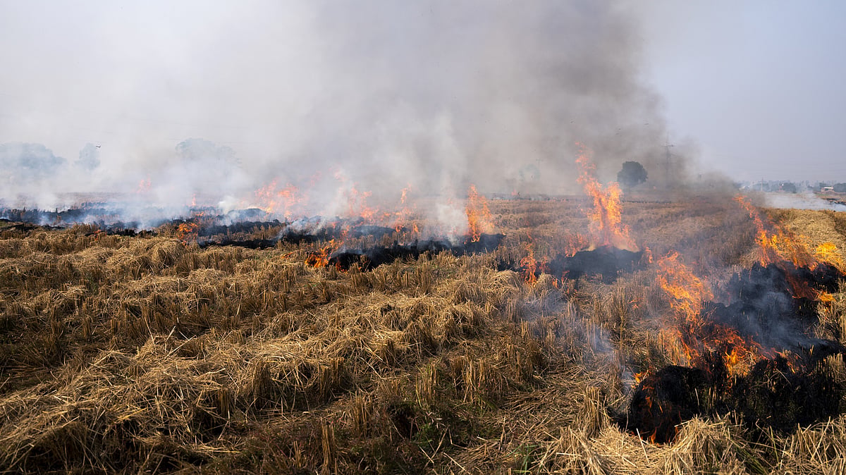 Pak will take up burning of crops’ residues with India at diplomatic level