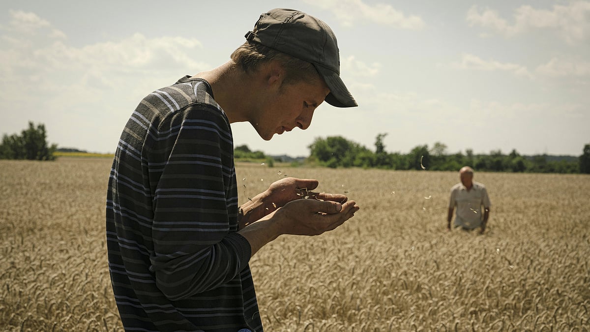 Hungary extends Ukrainian agricultural import ban