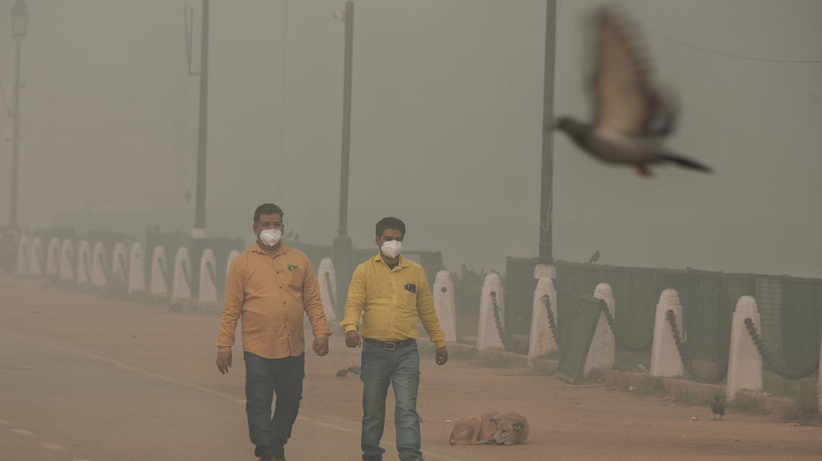 Delhi air pollution: is the city at a point of no return?