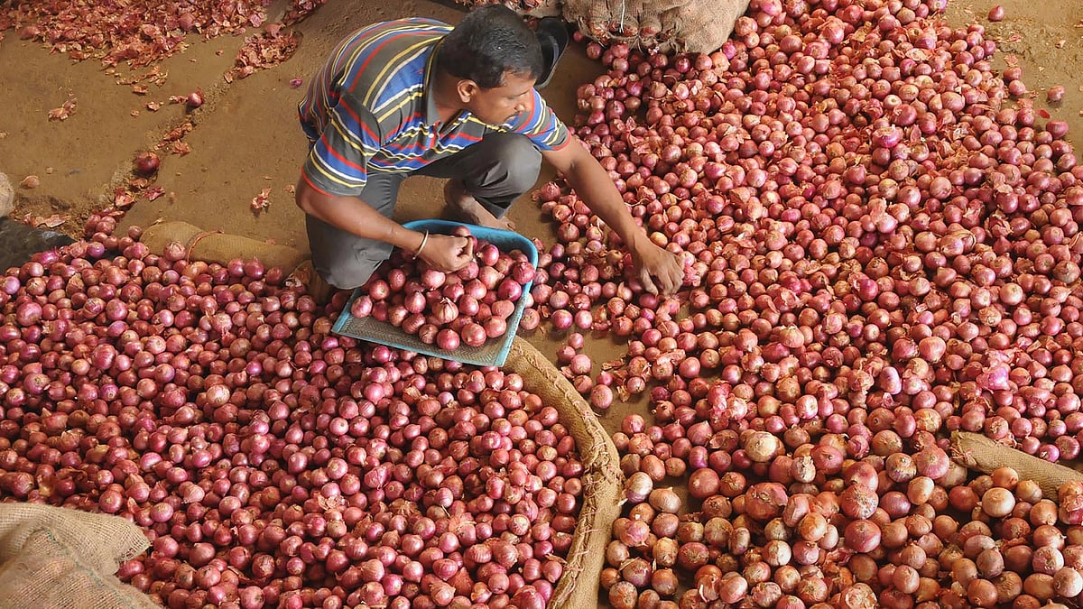 Nashik onion wholesalers on indefinite strike to protest export duty rise