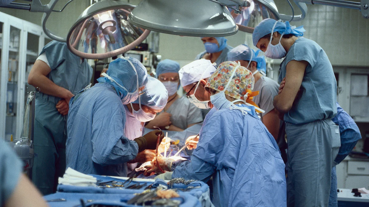 Atul Rao, from Seattle and a student from Baylor University in Texas, developed a blood clot in his lungs which stopped the blood flow through his heart (representative image) photo: getty images)
