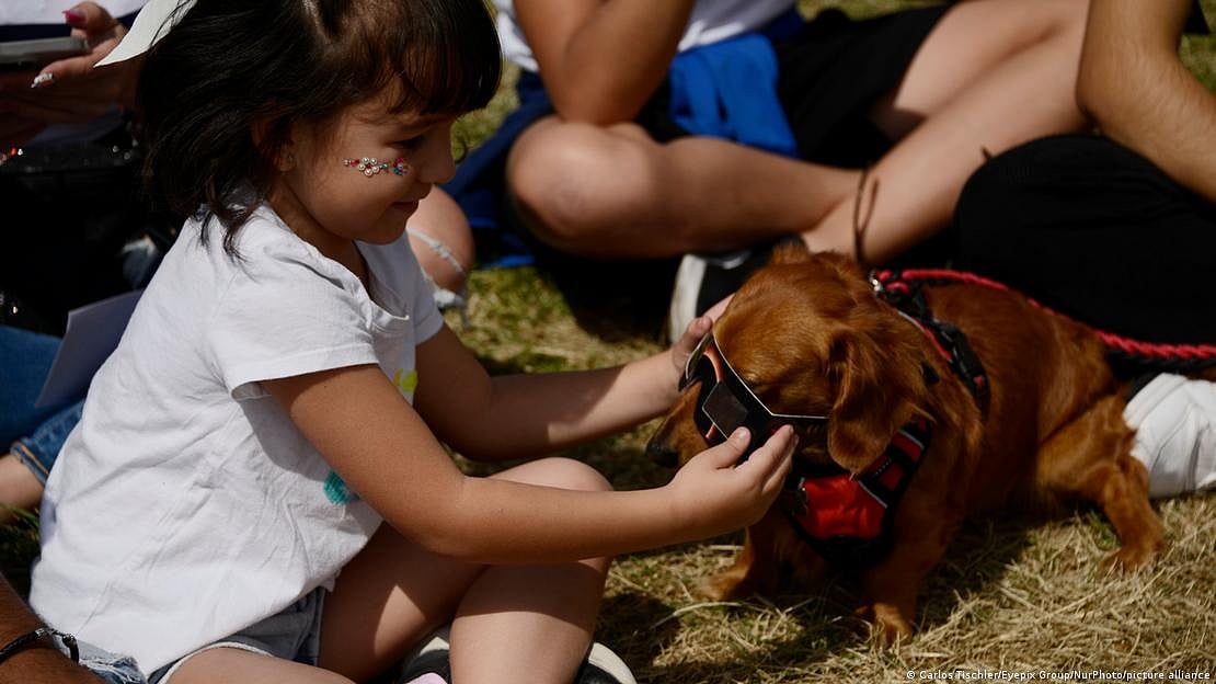 A child puts special sun filter glasses to a dog during the Annular at the National Autonomous University of Mexico (Photo: DW)