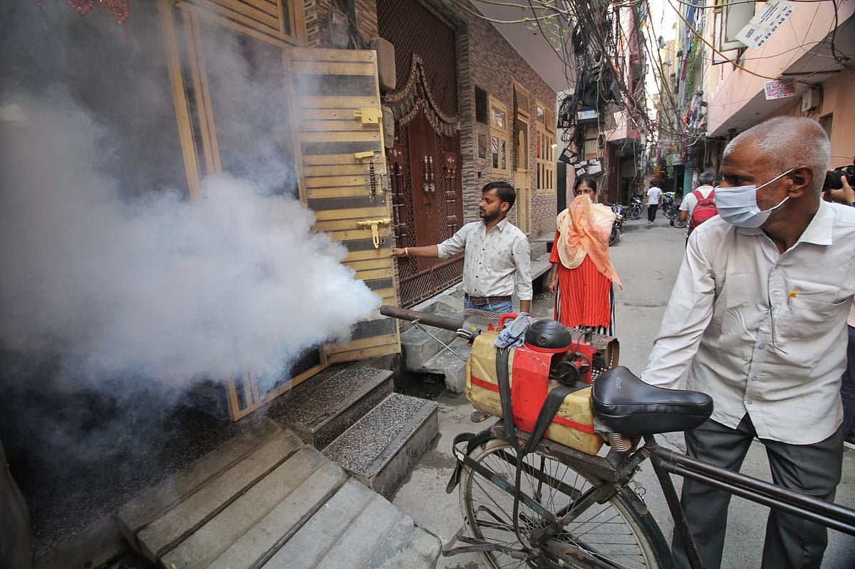 Another worker targets dark and enclosed spaces, like the ground floors of these houses, that see little sunlight even at midday (photo: Vipin/National herald)
