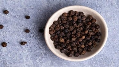 Spurious spice factories busted in Delhi, 25 tonne of spices seized
