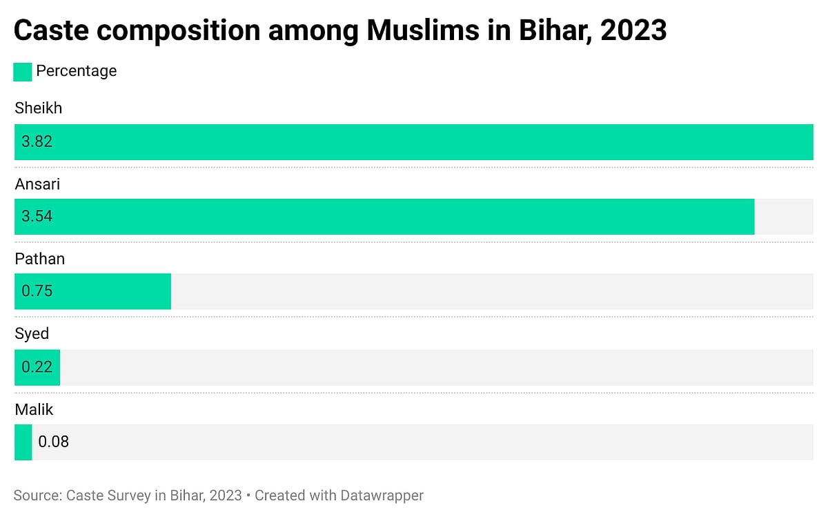 Caste composition of Muslims in Bihar (source: Bihar caste survey 2023)