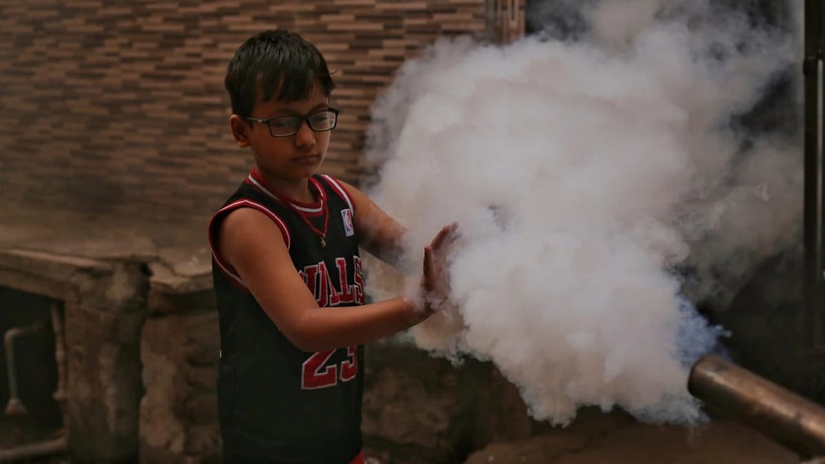 India among countries with most reported dengue deaths in 2023: Report