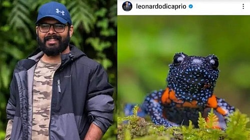 Leo DiCaprio shares rare photo of galaxy frog shot by Indian researcher