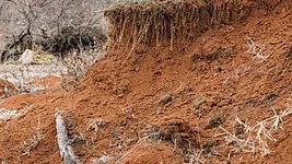 Between 2015 and 2019, the world lost at least 100 million hectares of healthy and productive land each year (Photo: IANS)