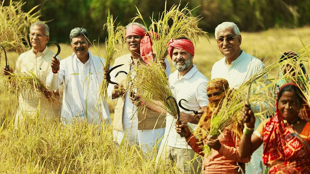 Rahul Gandhi (centre) interacted with farmers in Kathiya village near Raipur on Sunday (photo: @RahulGandhi/ X)