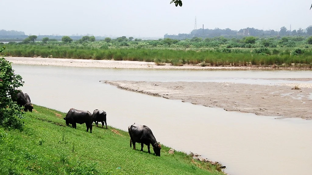 The Sutlej in Roopnagar, Punjab
(photo: Wikipedia/ Sanyam Bahga)