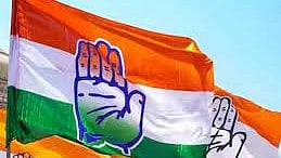 Chhattisgarh goes to polls on 7 and 17 November (representative image)