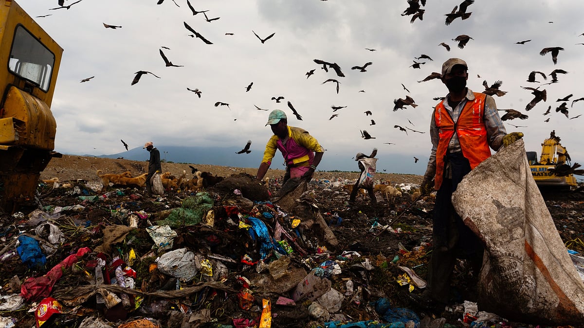 Delhi HC directs strict compliance with SC ruling on elimination of manual scavenging