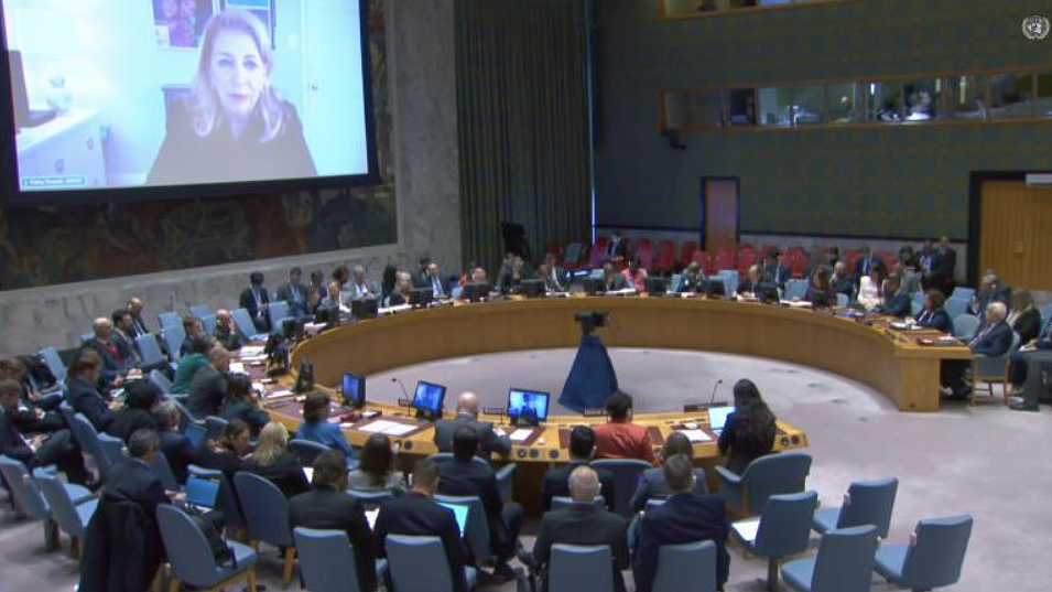 "I am haunted by what I saw and heard in Gaza" said UNICEF executive director Catherine Russell (screen grab from unicef.org)