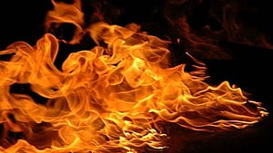 19 shops in Guwahati gutted in major fire