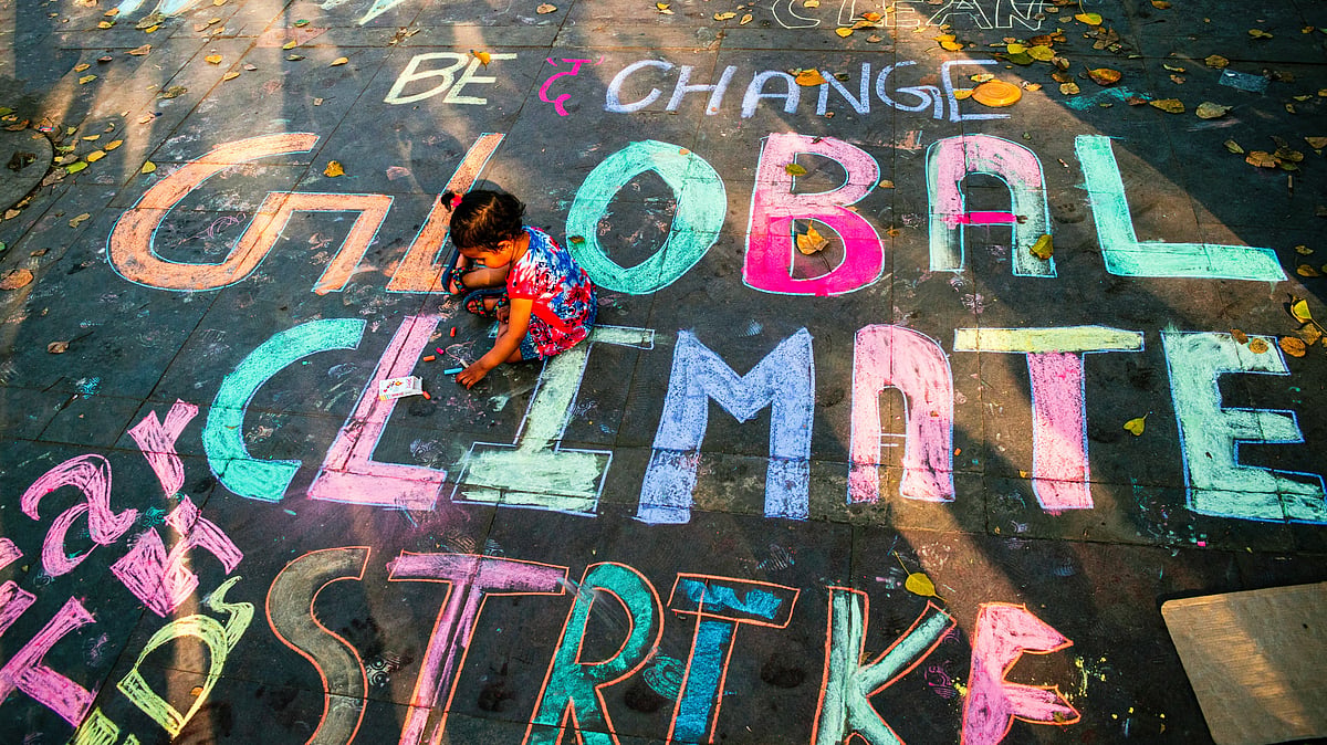 Climate change can disrupt economic stability: RBI deputy governor