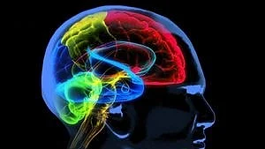 Australian researchers find 4 drugs reversing Covid-19-accelerated brain aging (photo: IANS)