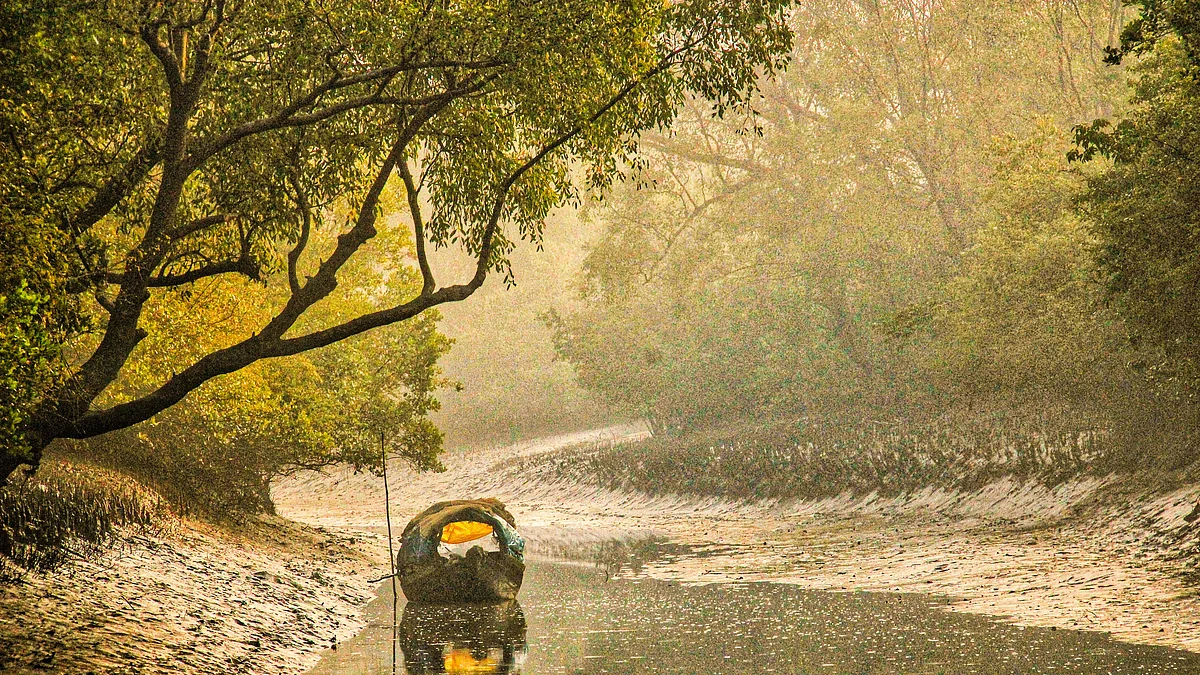 Had it not been for the Sundarbans, the whole of West Bengal would have been open to the devastation caused by recent cyclones (photo: Wikipedia)