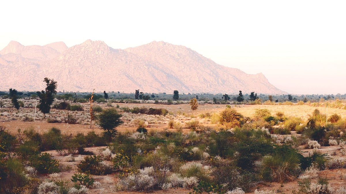 Wastelands are not actually lying ‘waste’ as they encompass diverse ecosystems and are rich in biodiversity. (Photo: Getty Images)