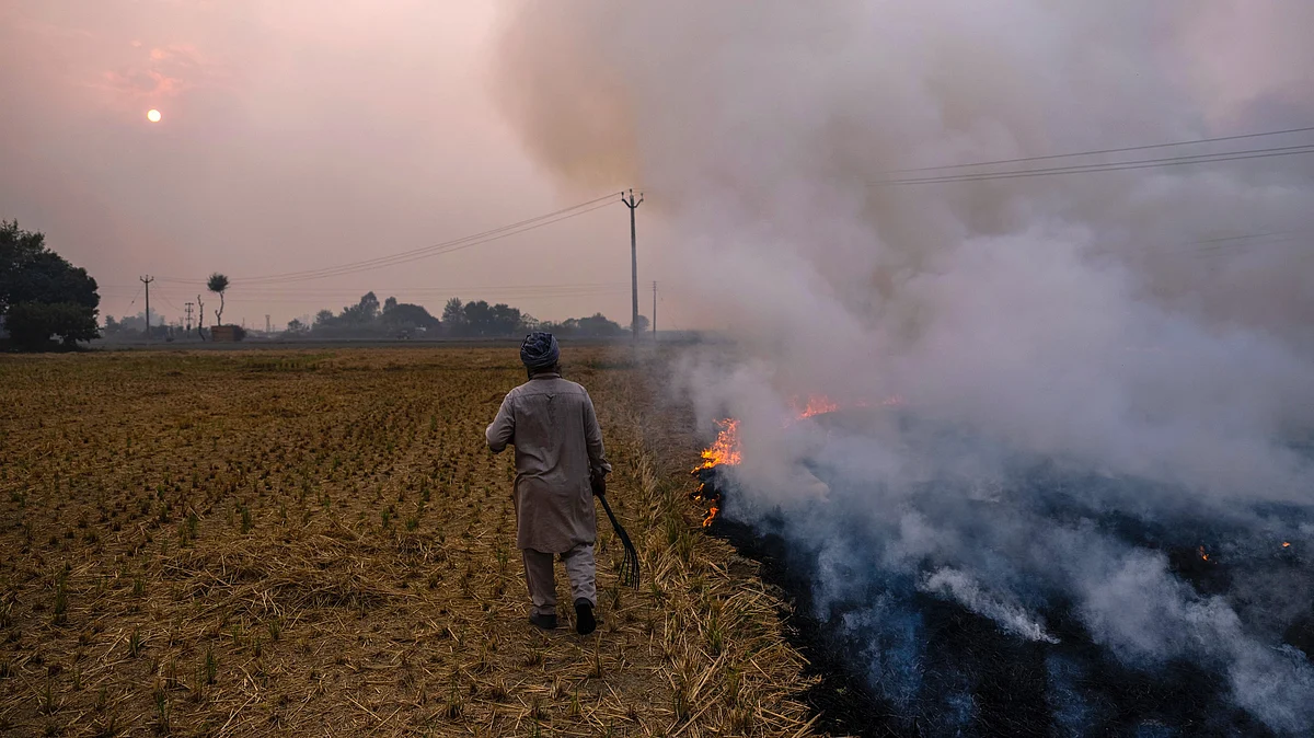Representative image of farmers in north India burn stubble