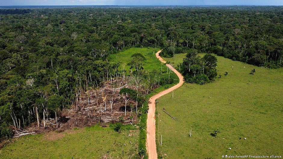 Brazil records five-year low in Amazon deforestation