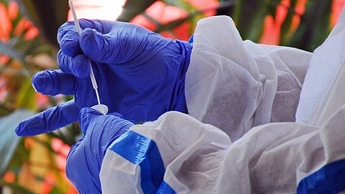 The findings offer insights into the immune response against coronaviruses (photo: IANS)
