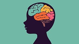 Children's gut microbiome linked with brain development, function: study