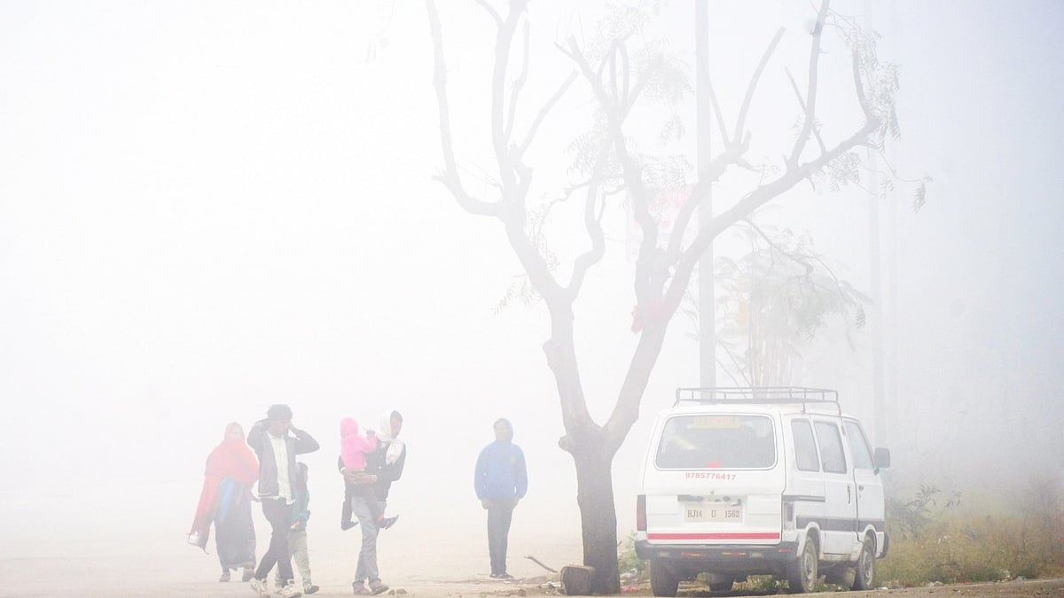 12 vehicles collide on Yamuna Expressway in dense fog, multiple injuries reported