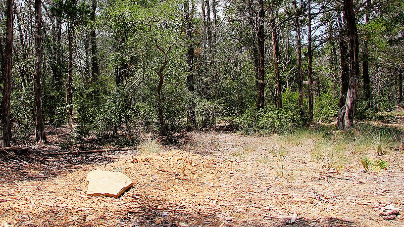 Environment-friendly grave in Eloise Woods Community Natural Burial Park in Cedar Creek, USA (photo: Wikipedia)