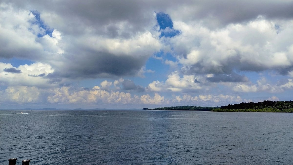 Tourists inconvenienced as hotel staffers join stir over power shortage in Andamans' Havelock Island