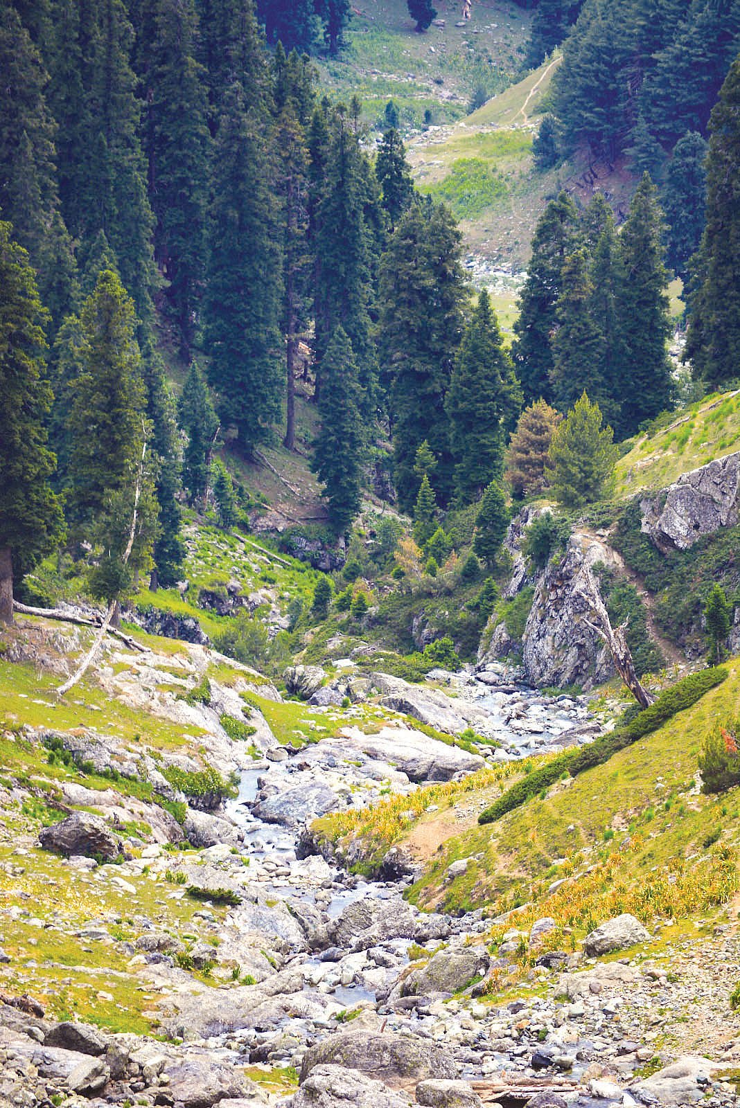 Kunda Pani in J&K’s Bandipora district, 
known for its cold streams, is drying up as temperatures in the Valley have risen by 2ºC over 40 years