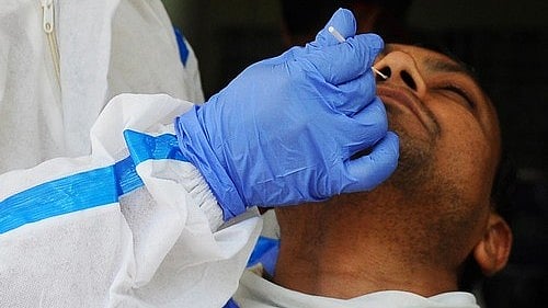 India records 441 new Covid cases, no deaths in 24 hours