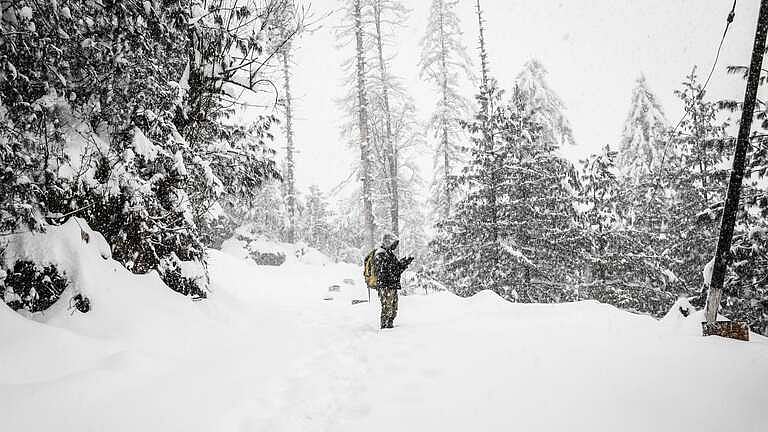 Snowfall in Shimla (Representative image)