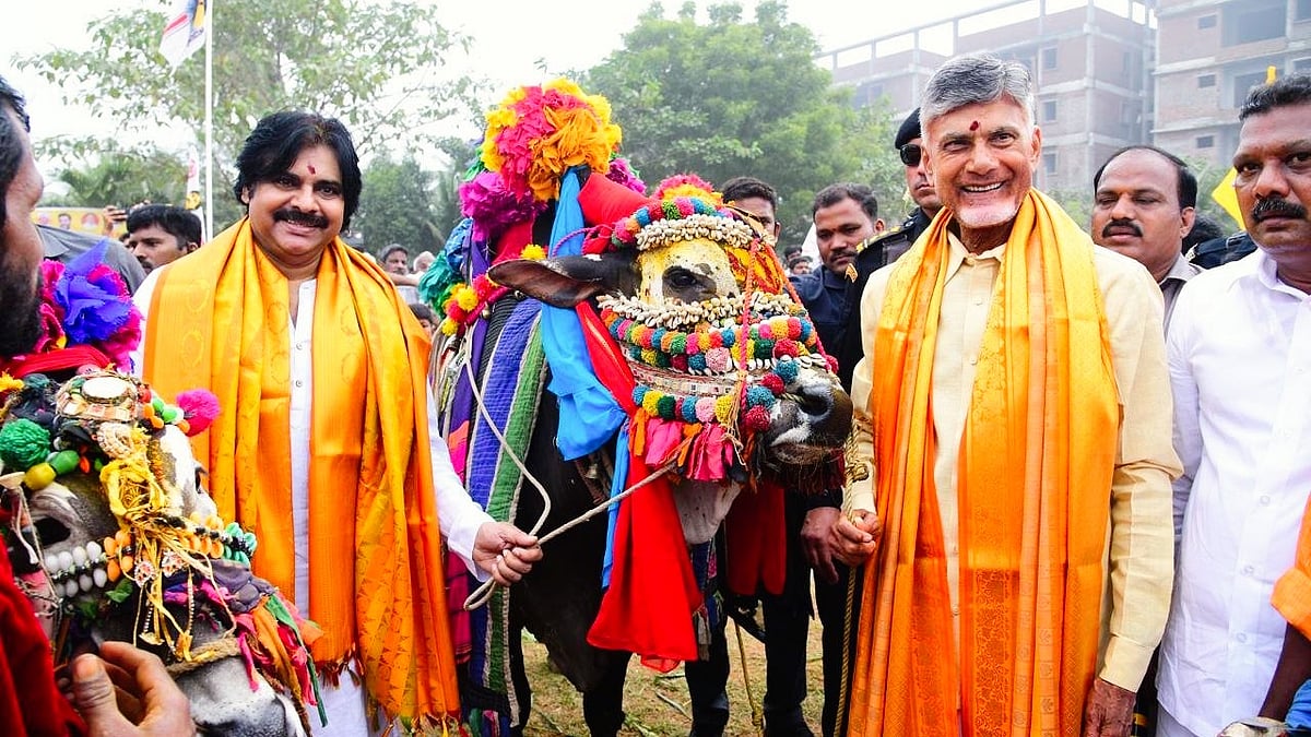 As resignations pile up, Chandrababu Naidu says Jagan Mohan govt's days numbered 