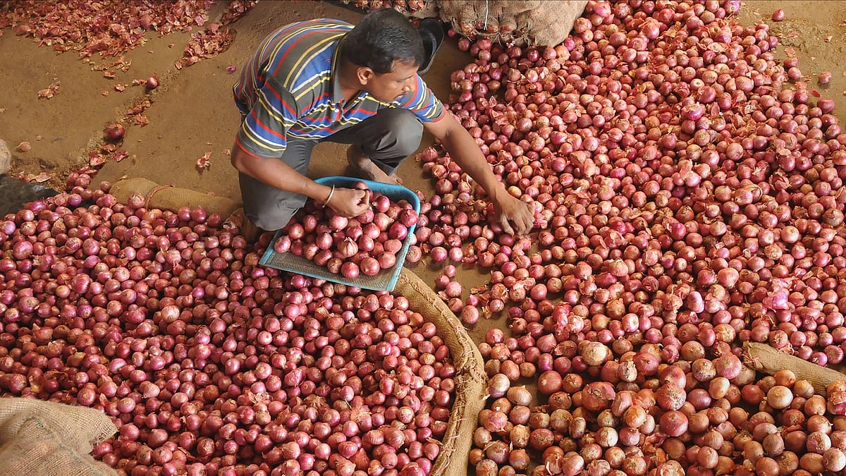 India permits 64,400 tonnes of onion exports to UAE, Bangladesh