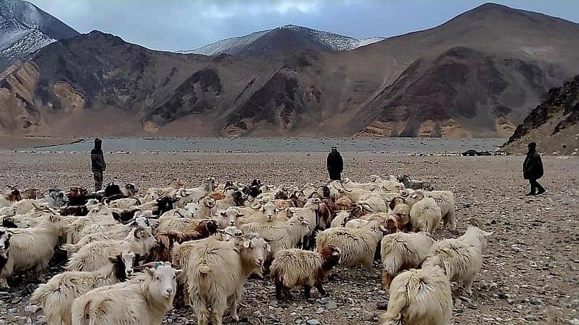 'Deny, distract, lie, justify' is govt approach to China: Congress on viral video from Ladakh