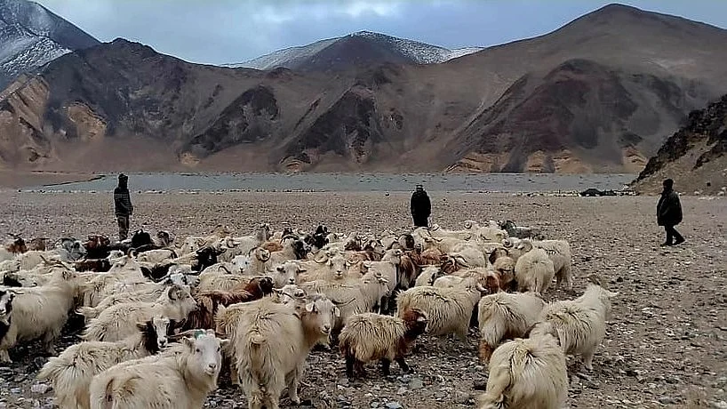 Representative image (photo: @kstanzinladakh/X)