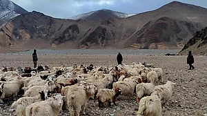 'Deny, distract, lie, justify' is govt approach to China: Congress on viral video from Ladakh