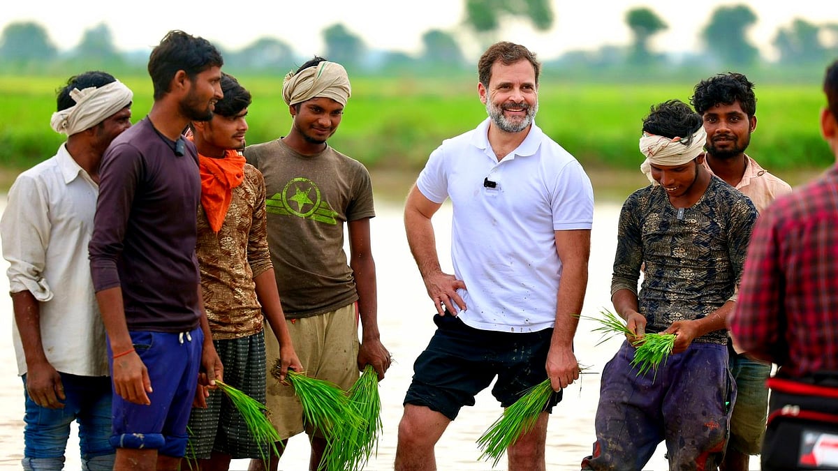 Rahul Gandhi during the 2022-23 Bharat Jodo Yatra (photo: @bharatjodo/X)